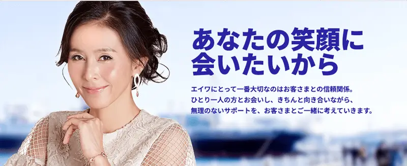 エイワのLP画像